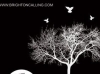 Brighton calling accoustic sessions