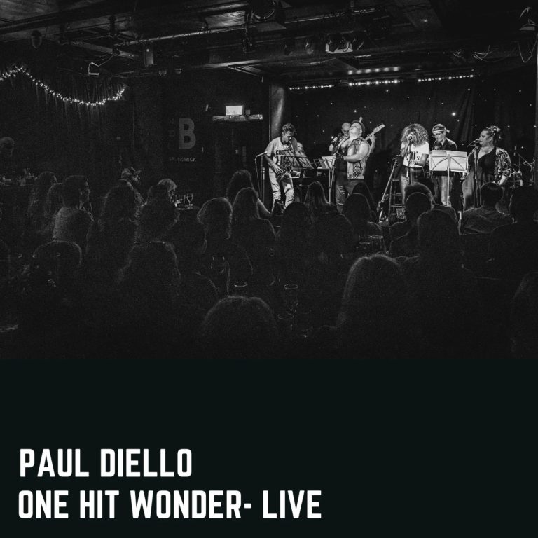 One Hit Wonder: Live cover artwork, Paul Diello